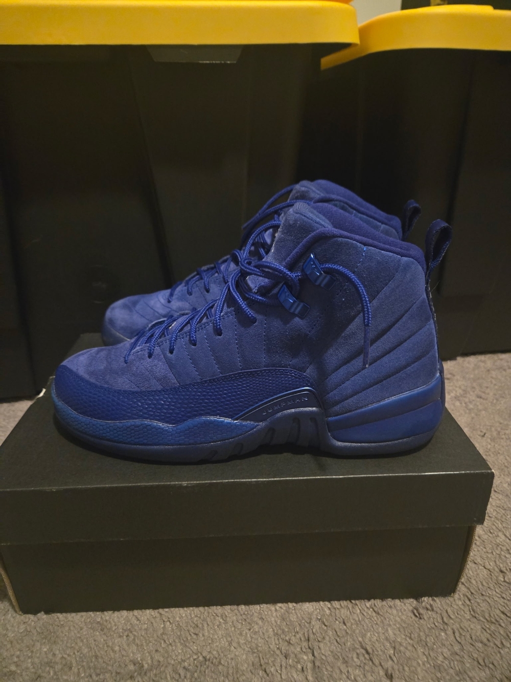 Air Jordan 12